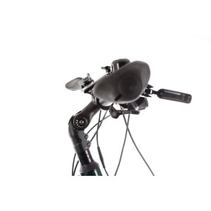 Rower trekkingowy elektryczny Ecobike MX300 - zielony 2