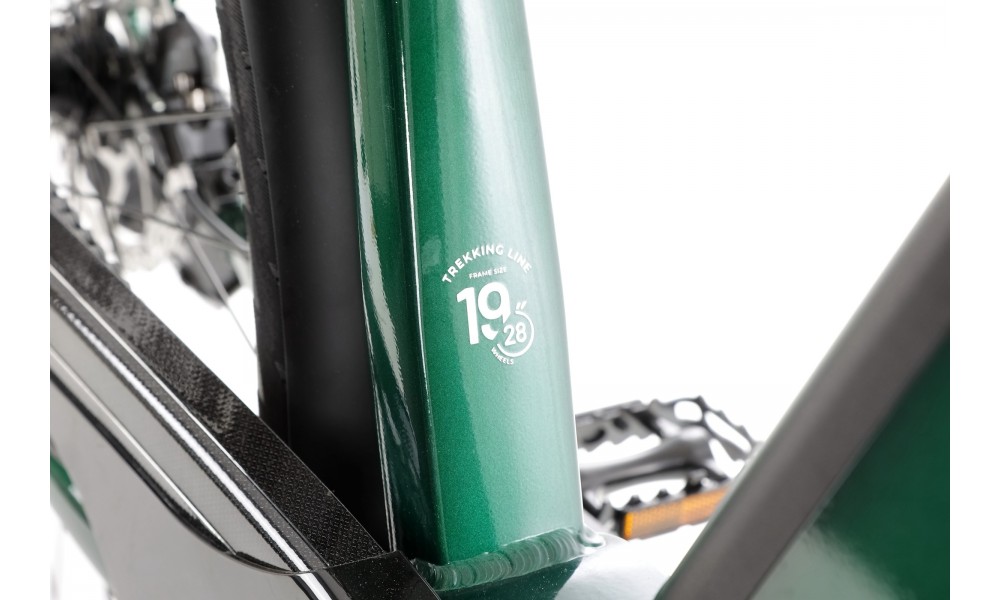 Rower trekkingowy elektryczny Ecobike MX300 - zielony