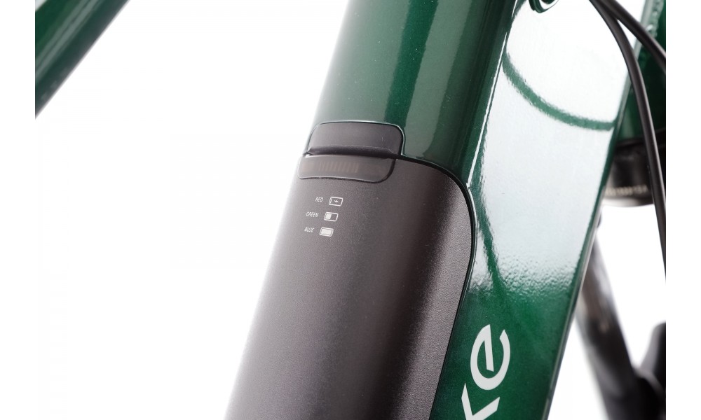 Rower trekkingowy elektryczny Ecobike MX300 - zielony