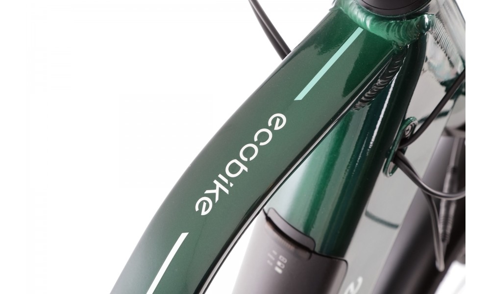 Rower trekkingowy elektryczny Ecobike MX300 - zielony