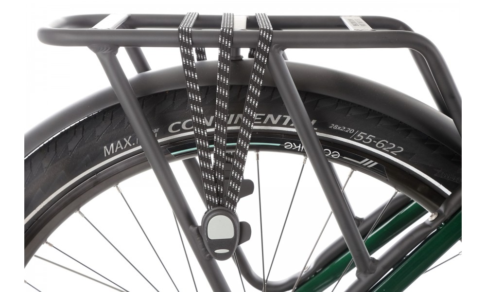 Rower trekkingowy elektryczny Ecobike MX300 - zielony