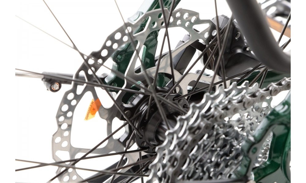 Rower trekkingowy elektryczny Ecobike MX300 - zielony