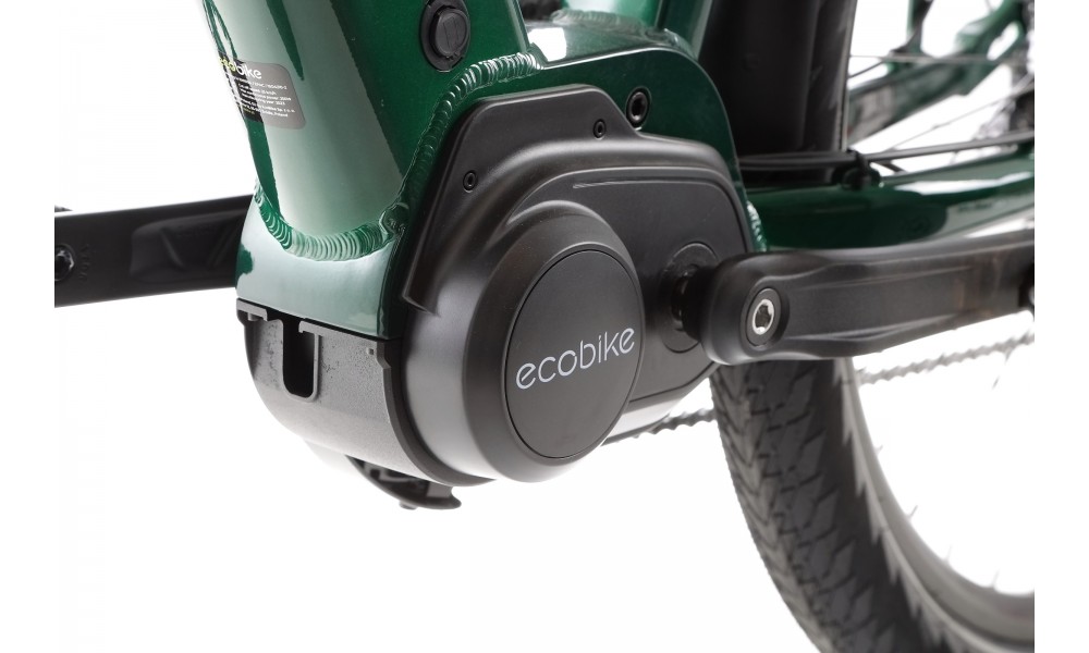 Rower trekkingowy elektryczny Ecobike MX300 - zielony