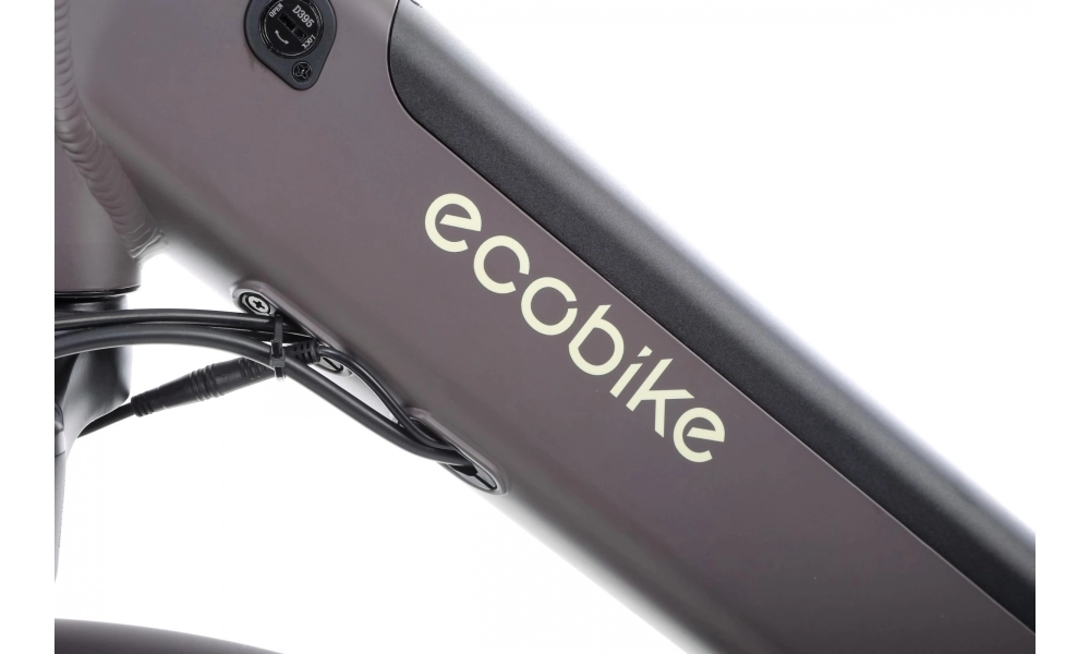 Rower trekkingowy elektryczny Ecobike X-City
