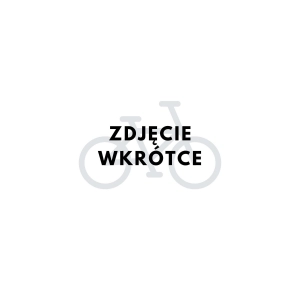 Rower elektryczny miejski ROMET WAVE 3.0 2024 brązowy-czarny