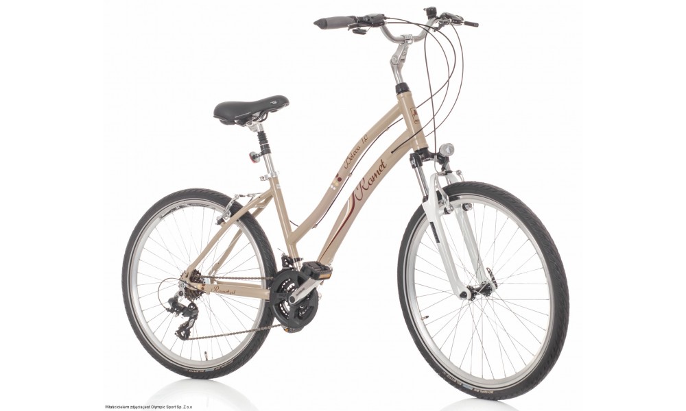 Rower górski Romet Belleco 1.0