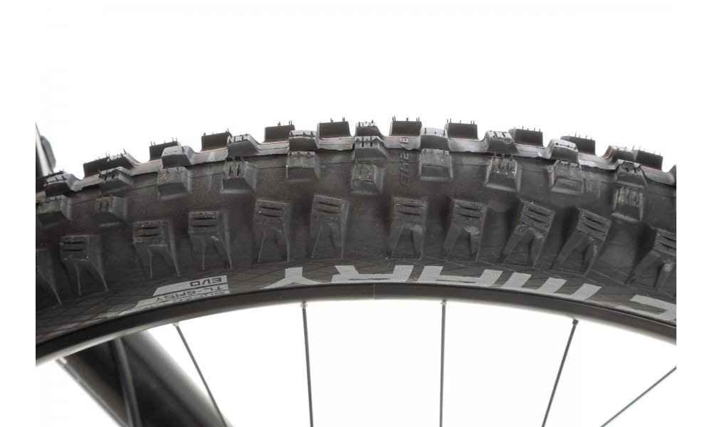 Rower górski elektryczny R-Raymon TrailRay 140E 10.0