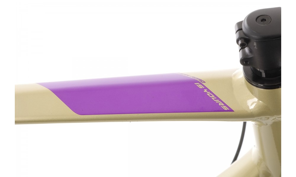 Rower gravel Merida Silex 400  - szampański