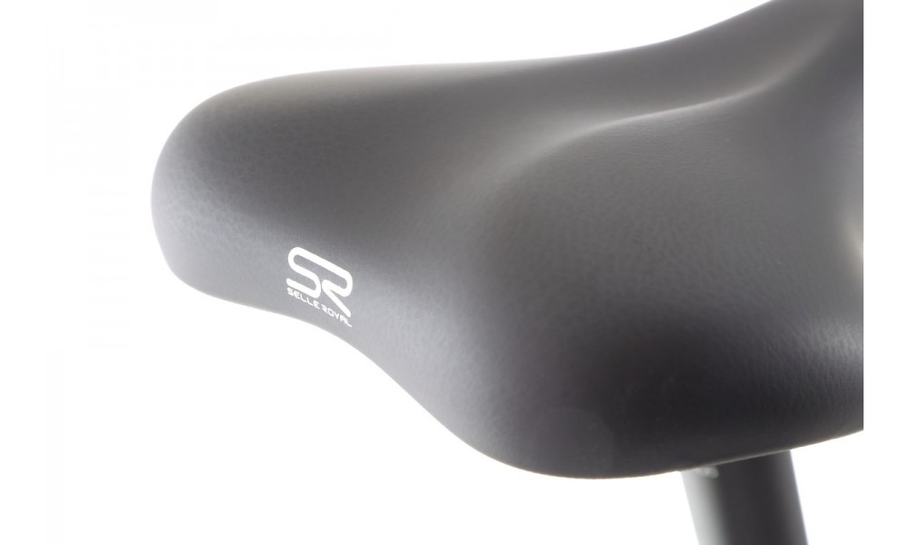 Rower trekkingowy elektryczny Haibike Trekking 4 Low - kremowy-biały