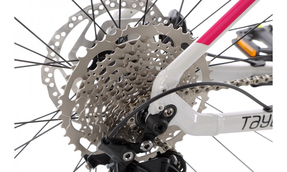 Rower górski elektryczny Kellys Tayen R50 LTD Panasonic - biały-czarny