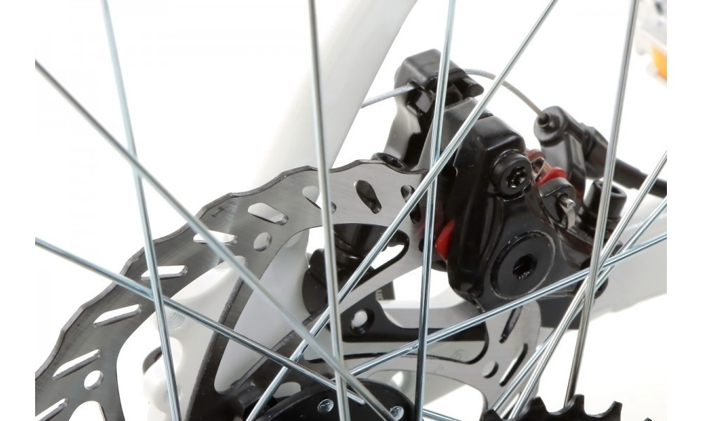 Rower górski Kellys Vanity 30 27,5 - biały-zielony