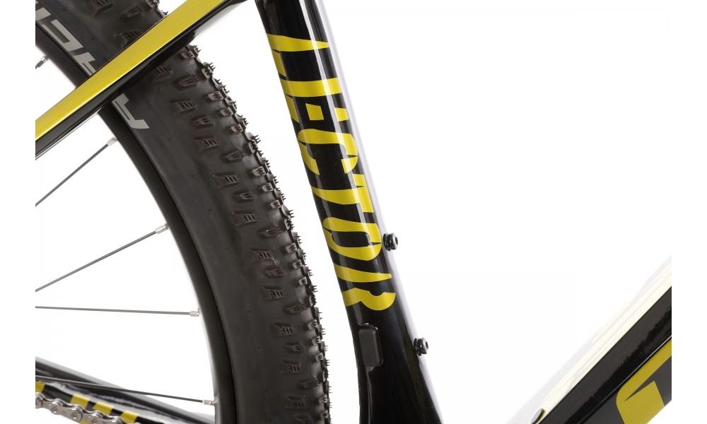 Rower górski Ghost Lector LC - czarny-zielony