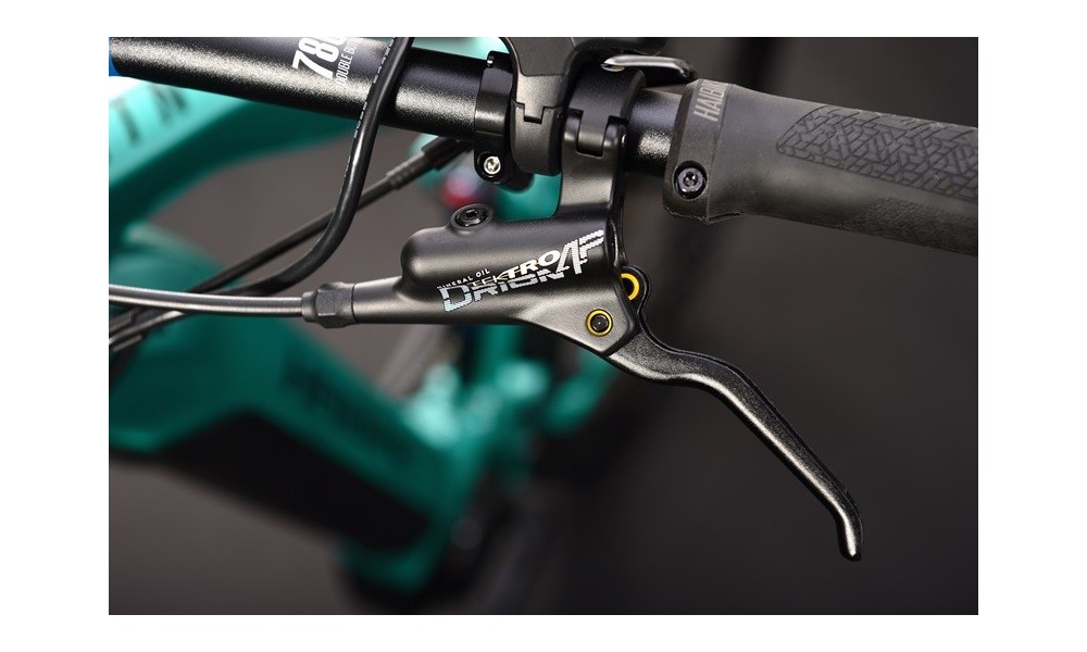 Rower górski elektryczny Haibike Allmtn 1 - zielony-czarny