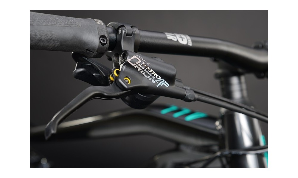 Rower górski elektryczny Haibike Allmtn 1  - czarny-turkusowy