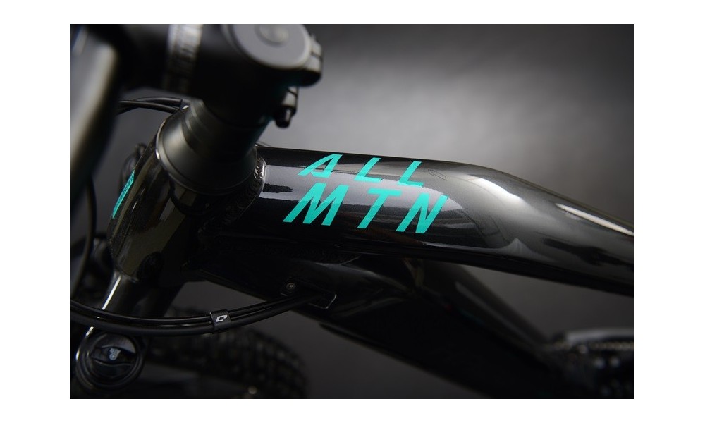 Rower górski elektryczny Haibike Allmtn 1  - czarny-turkusowy