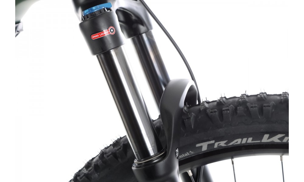 Rower górski elektryczny Haibike AllTrail 4 29 - zielony-czarny