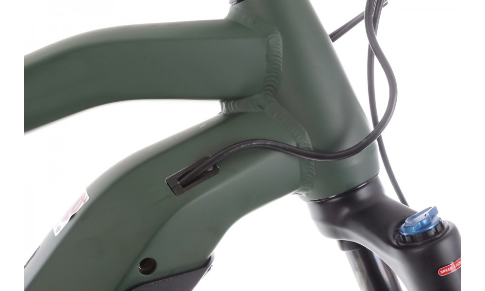 Rower górski elektryczny Haibike AllTrail 4 29 - zielony-czarny