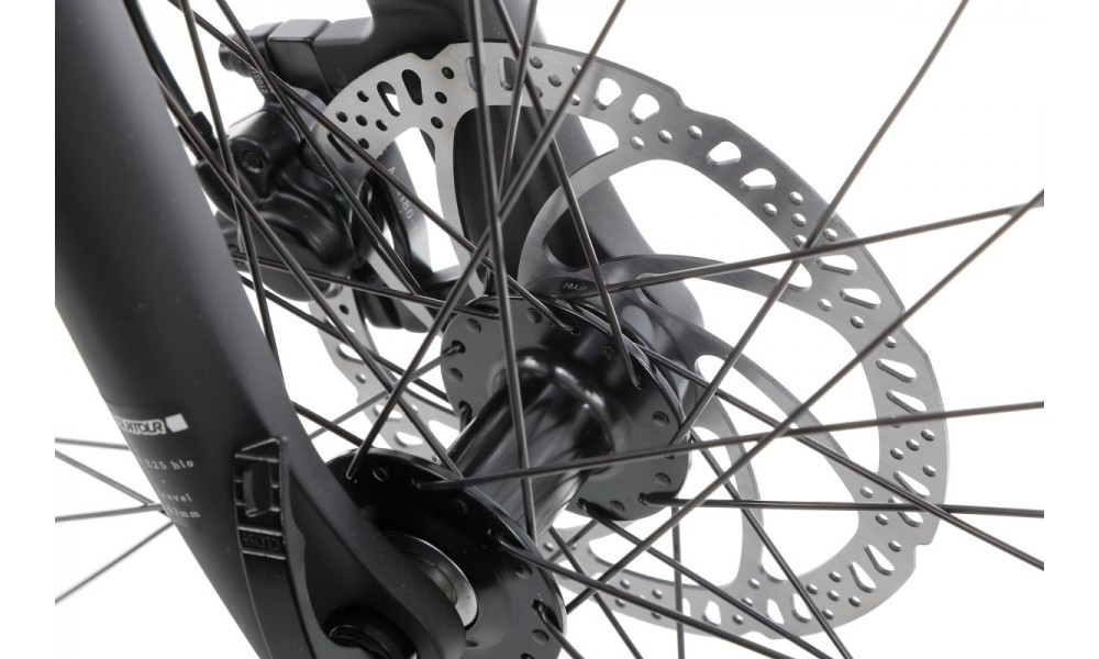 Rower trekkingowy elektryczny Winora Sinus N5f Eco Gent - szary