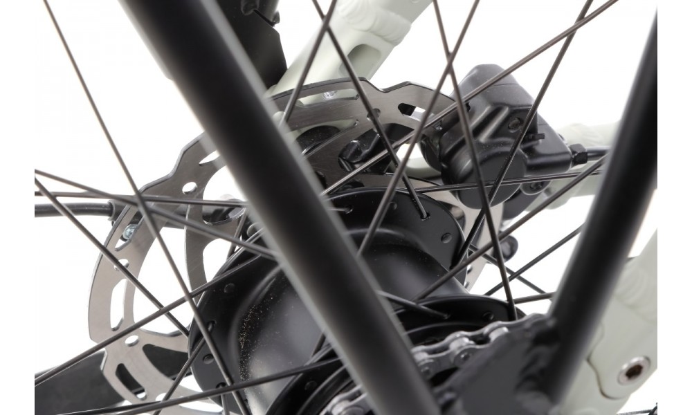 Rower trekkingowy elektryczny Winora Sinus N5f Eco Gent - szary