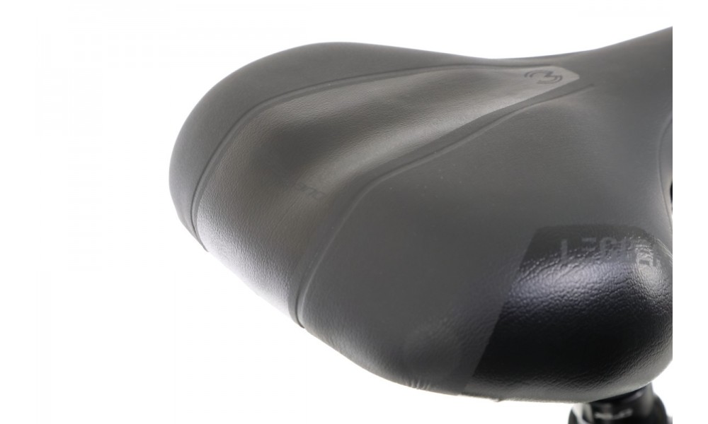 Rower trekkingowy elektryczny Winora Sinus N5f Eco Gent - szary