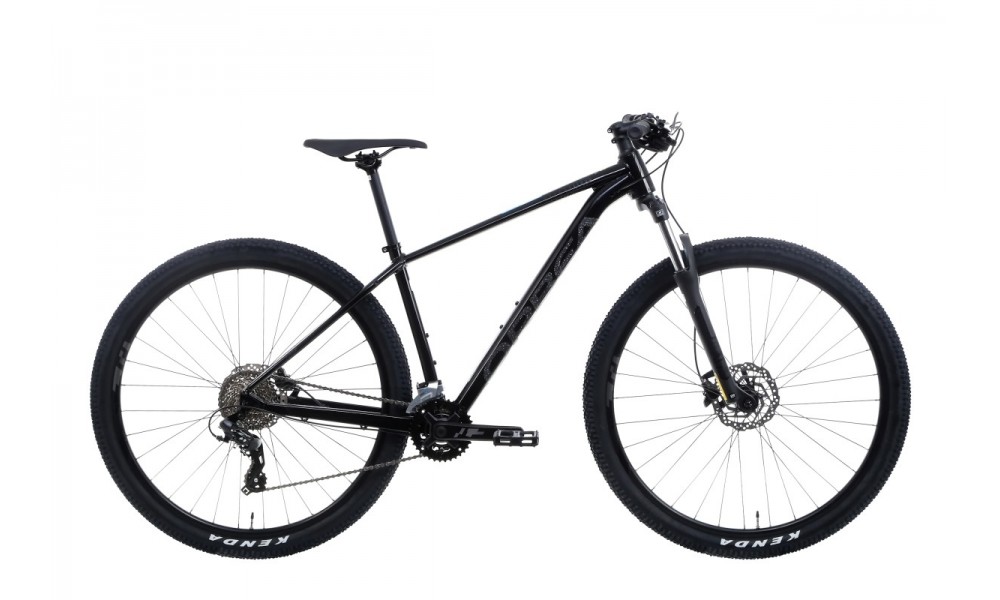 Rower górski Orbea Onna 50 29 - czarno-srebrny