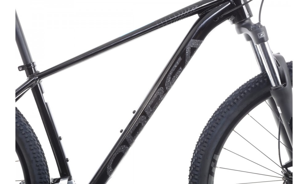 Rower górski Orbea Onna 50 29 - czarno-srebrny