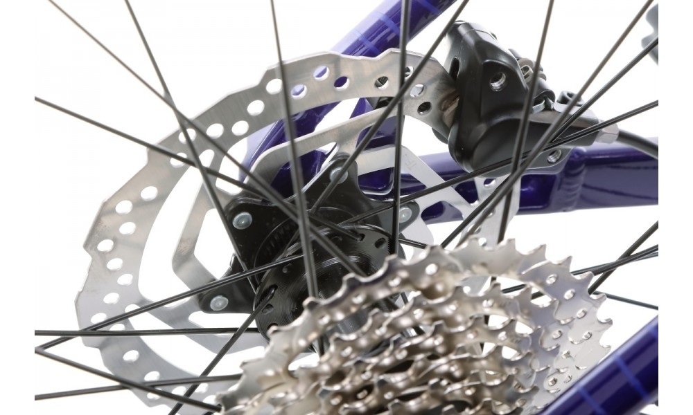 Rower górski Orbea Onna 50 29 - niebiesko-biały