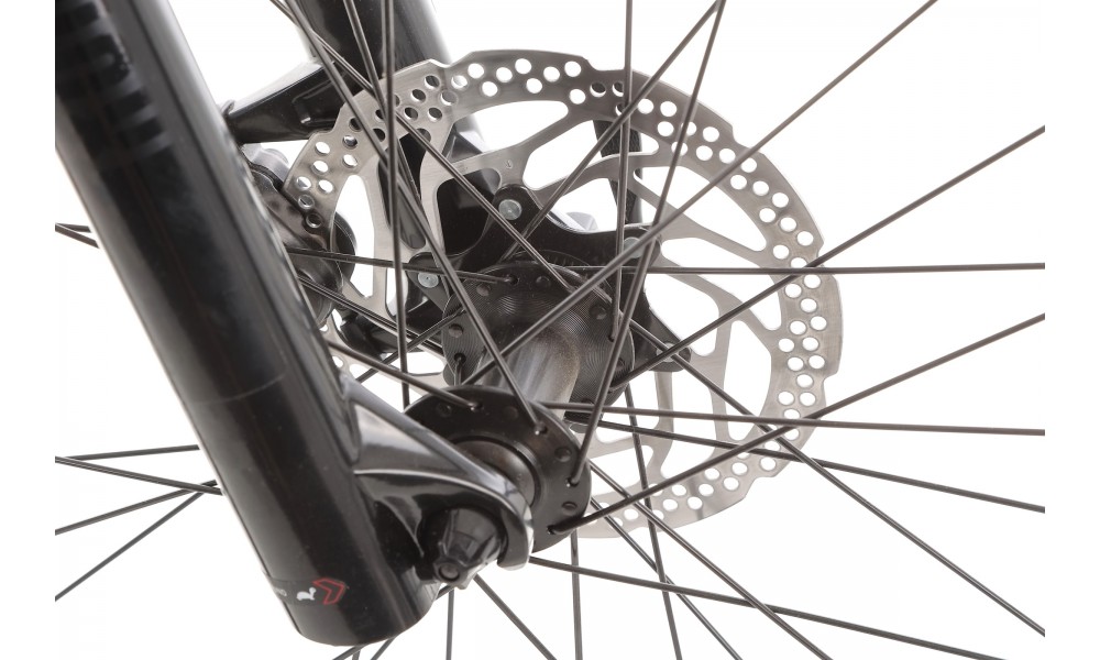 Rower górski Orbea Onna 10 29 - niebiesko-biały