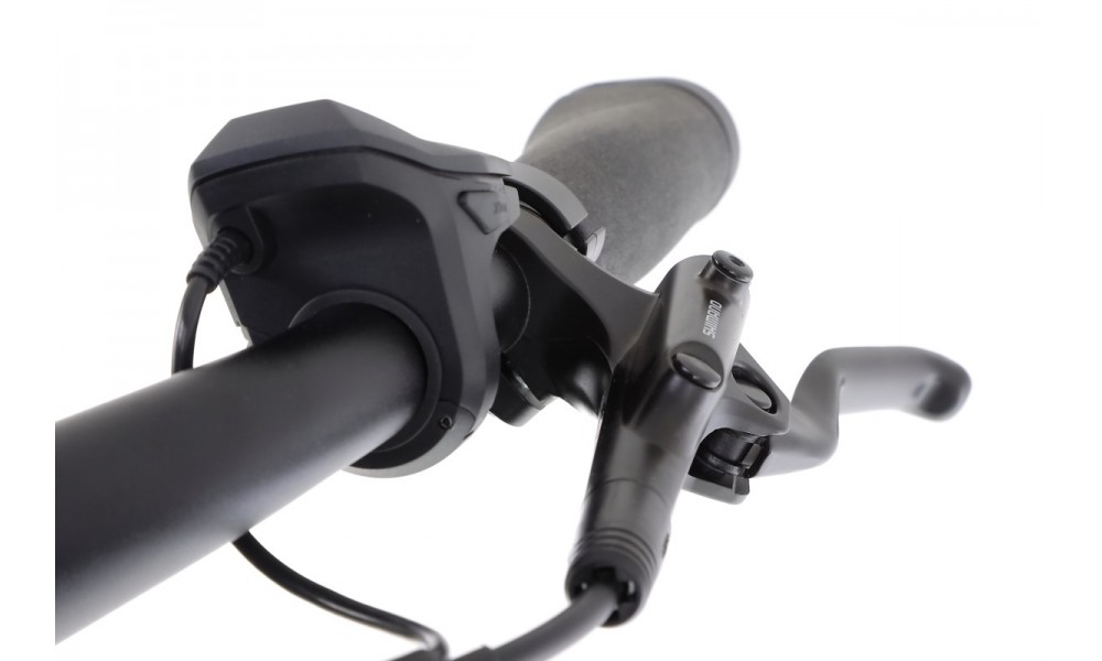 Rower trekkingowy elektryczny Winora Sinus N8f Lady - zielony