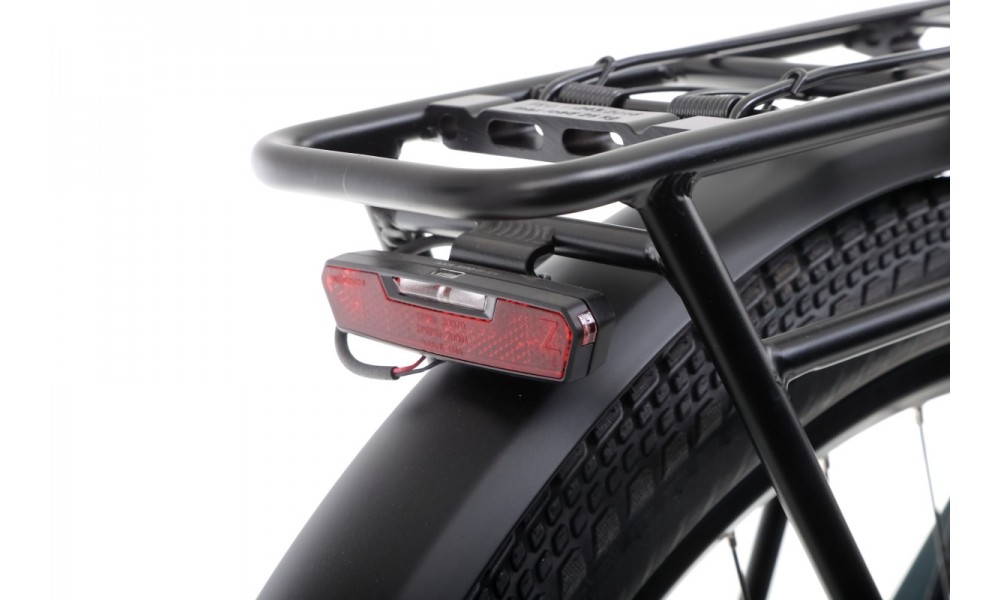 Rower trekkingowy elektryczny Winora Sinus N8f Lady - zielony