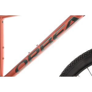 Rower górski Orbea ONNA 10 29 - czerwono-zielony  2