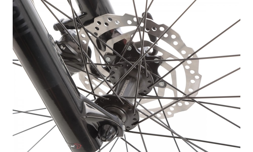 Rower górski Orbea ONNA 20 29 - czarno-srebrny