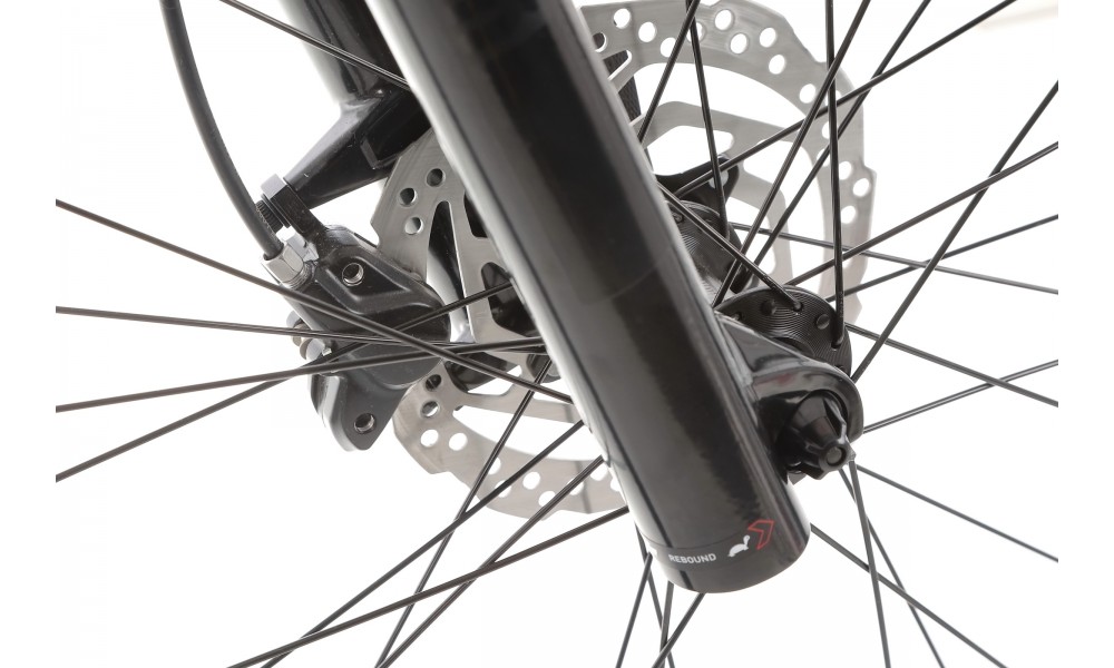 Rower górski Orbea ONNA 20 29 - czarno-srebrny