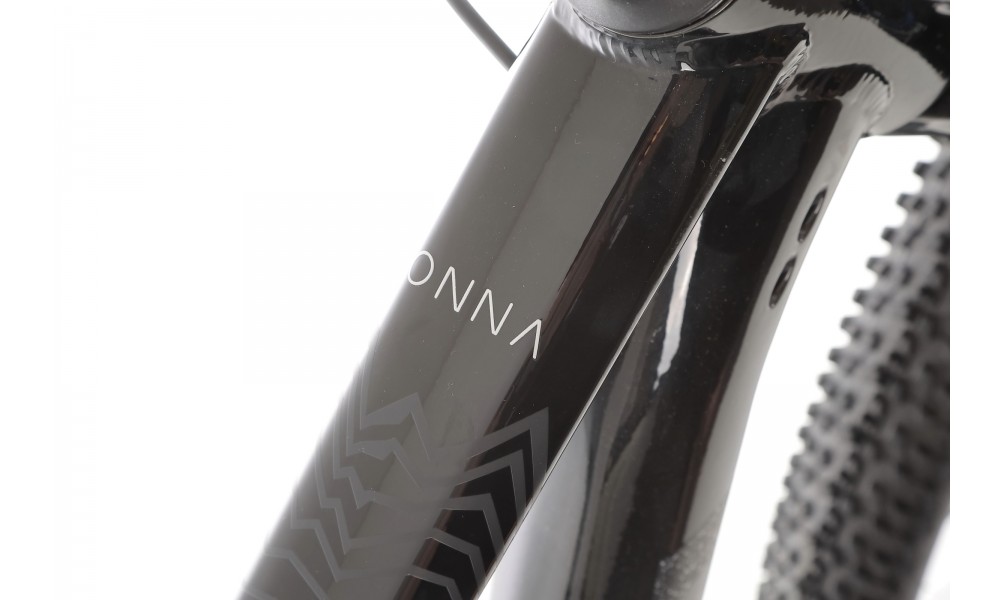 Rower górski Orbea ONNA 20 29 - czarno-srebrny