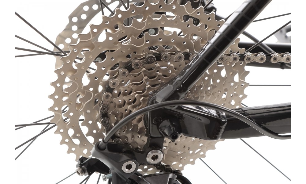 Rower górski Orbea ONNA 20 29 - czarno-srebrny