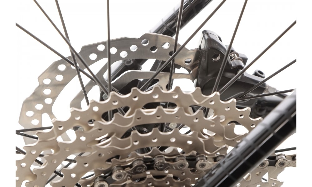 Rower górski Orbea ONNA 20 29 - czarno-srebrny