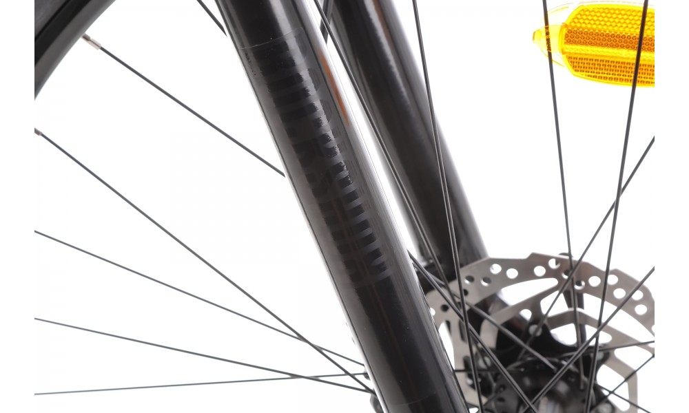 Rower górski Orbea ONNA 20 29 - czarno-srebrny