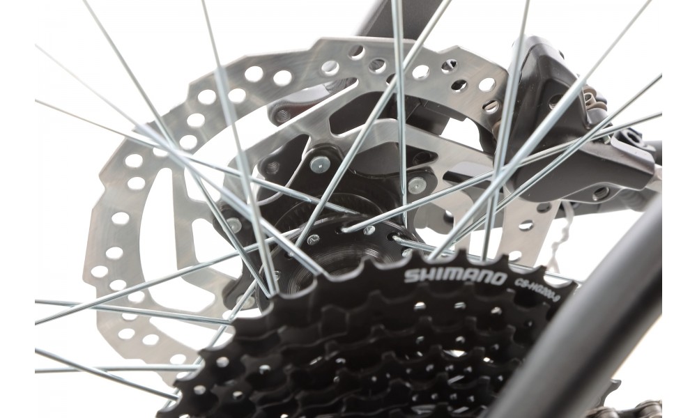 Rower górski Kellys Spider 70 29 - czarny-niebieski