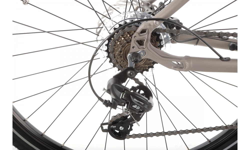 Rower crossowy elektryczny Romet Orkan 1 M MM - szampańsko-srebrny