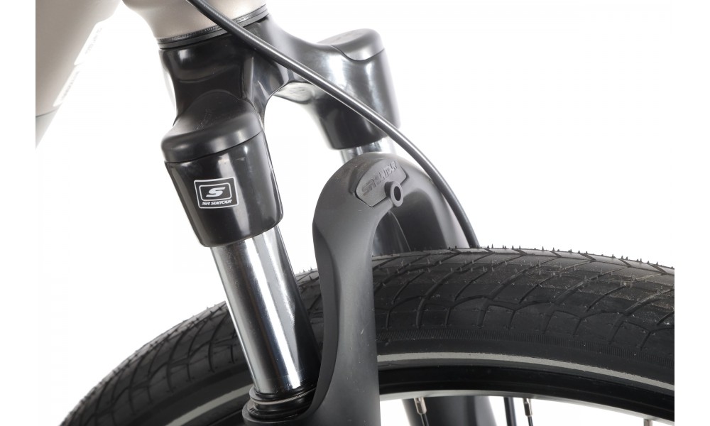 Rower crossowy elektryczny Romet Orkan 1 M MM - szampańsko-srebrny