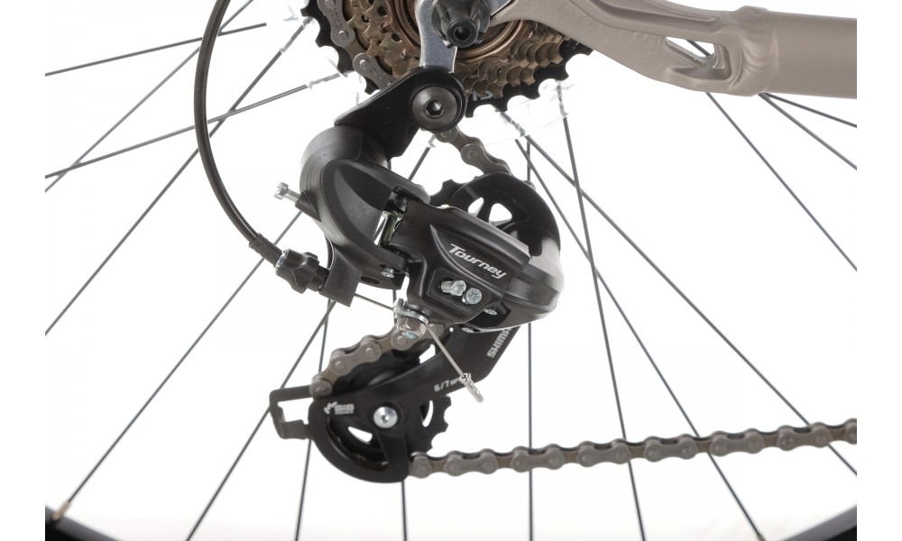 Rower crossowy elektryczny Romet Orkan 1 M MM - szampańsko-srebrny