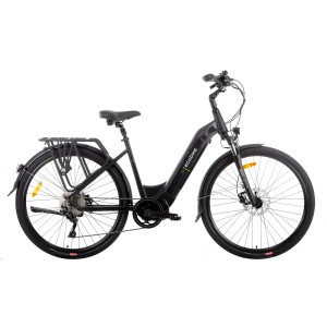 Rower trekkingowy elektryczny Ecobike D2 - czarny 1
