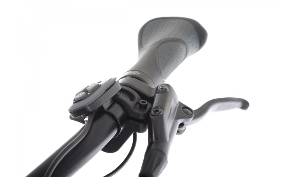 Rower trekkingowy elektryczny Ecobike D2 - czarny