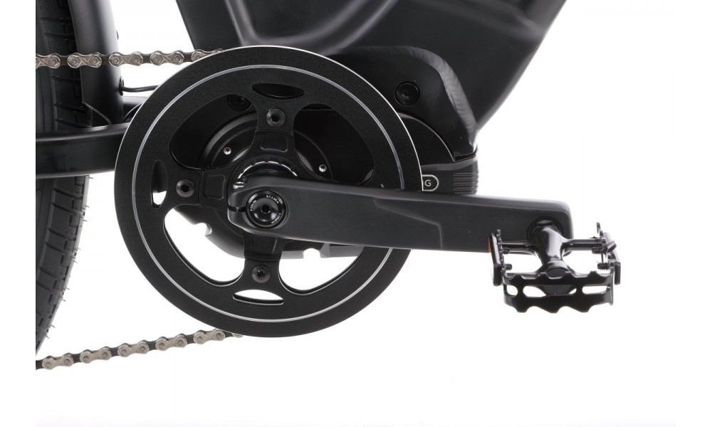 Rower trekkingowy elektryczny Ecobike D2 - czarny