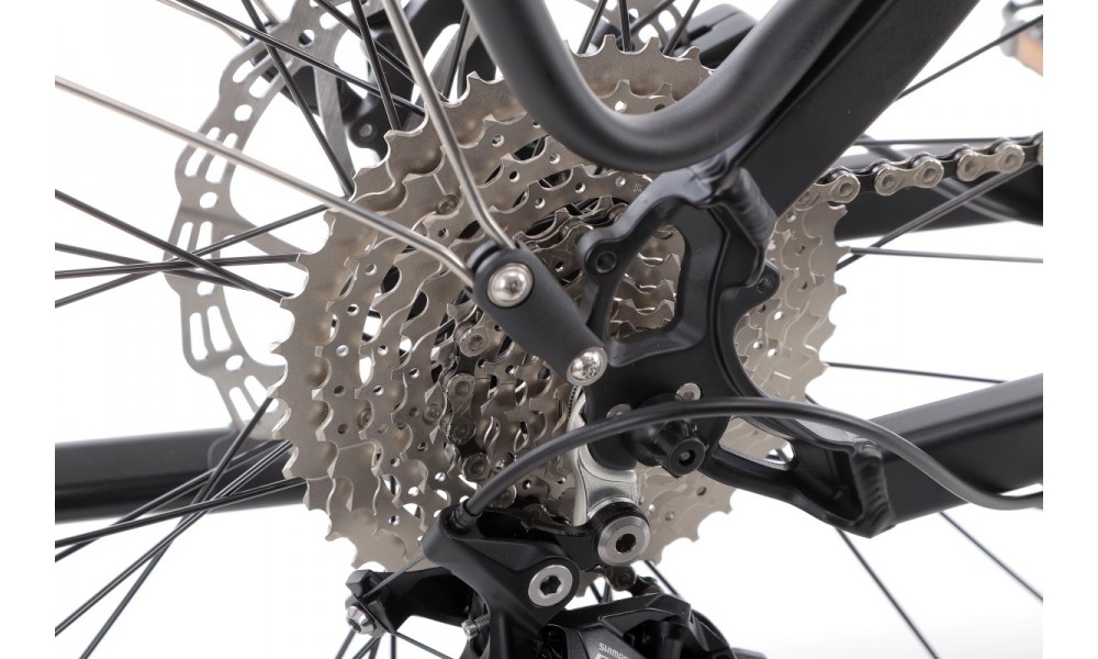 Rower trekkingowy elektryczny Ecobike D2 - czarny