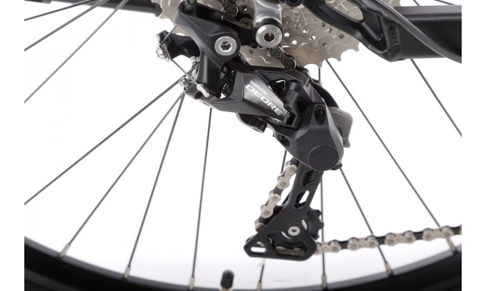 Rower trekkingowy elektryczny Ecobike D2 - czarny