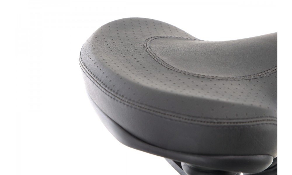 Rower trekkingowy elektryczny Ecobike D2 - czarny