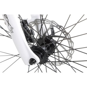 Rower trekkingowy elektryczny Ecobike D2 - miętowy 2