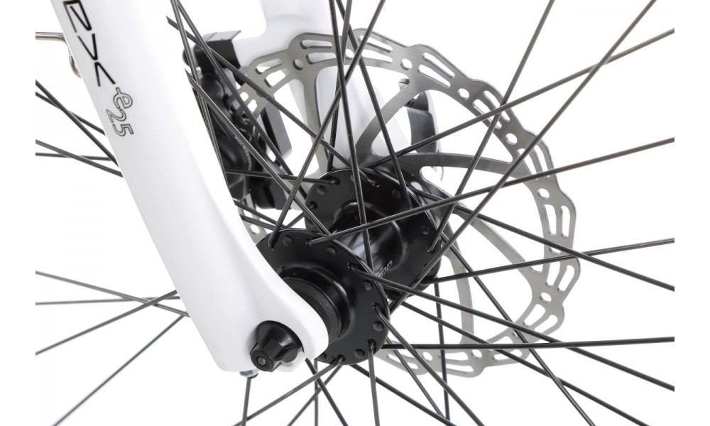 Rower trekkingowy elektryczny Ecobike D2 - miętowy