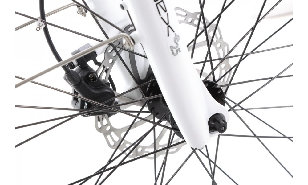 Rower trekkingowy elektryczny Ecobike D2 - miętowy